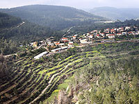 Льготы на покупку земли под жилье на периферии для молодых пар увеличены вдвое