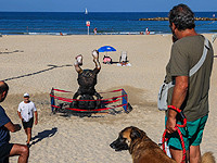 Задержан подозреваемый в поджоге скульптуры Давида Бен-Гуриона