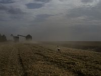 Украина подала в ВТО иски против стран, запретивших импорт агропродукции