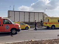 У моста Паз в Хайфе двое неизвестных расстреляли автомобиль, убив водителя