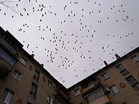 Министр строительства РФ: