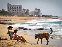 Минздрав рекомендует не купаться на пляже