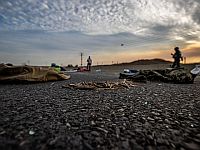 В бою с террористами погиб офицер