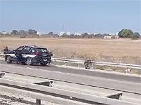 Около Ашдода нейтрализована группа террористов, но поиск боевиков продолжается