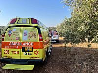 Солдаты на учениях нашли в оливковой роще в Западной Галилее тела двух мужчин