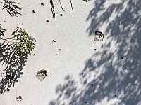 Опубликованы уточненные данные о погибших и похищенных в поселках около границы Газы