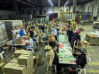 Волонтёрский проект 