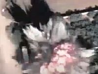 ЦАХАЛ: за сутки атакованы более 250 объектов ХАМАСа в Газе, многие располагались в жилых районах. Видео