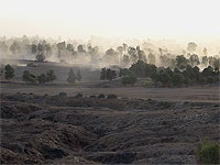 ЦАХАЛ ликвидировал в Газе четырех командиров боевиков ХАМАСа