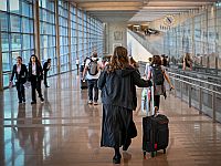 Движение PETA призвало администрацию США разрешить вывозить животных из Израиля спасательными рейсами