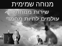 Небесный покой – ритуальные услуги для животных