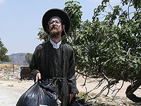 Минфин предлагает за работу в сельском хозяйстве и строительстве от 3 до 8 тысяч в месяц в дополнение к зарплате