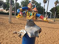 Сирены и взрывы в центре Израиля, ранены две женщины