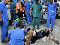 Директор больницы 