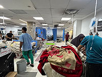 ЦАХАЛ: есть новые данные об активности террористов в 