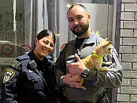 Гражданин Эритреи арестован за кражу собаки у 6-летнего эвакуированного мальчика