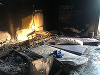 Галь Гадот договорилась о показе в Голливуде 