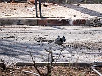 Из Ливана обстрелян поселок Шломи, ЦАХАЛ нанес ответные удары