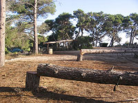 Кнессет утвердил расширение Дальят эль-Кармеля за счет заповедника