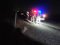 МАГАВ защищает и диких животных: двое пограничников спасли газель