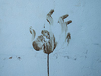 Каир заявил, что договорился с ХАМАСом об освобождении 12 граждан Таиланда