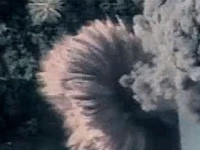 Силы ЦАХАЛа атаковали более 200 террористических объектов по всему сектору Газы