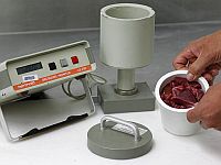 Ученые разгадали парадокс 