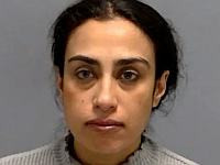 Жительница Индианы, желавшая отомстить за Палестину, вместо еврейской школы протаранила здание