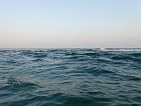 ХАМАС объявил, что 