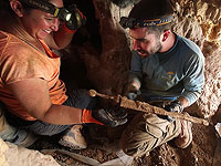 Тайник с римским оружием в Эйн-Геди признан археологическим открытием года