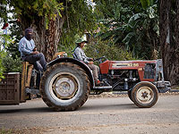 В Израиль прибыли еще 200 сельскохозяйственных иностранных рабочих из Малави