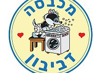 Прачечная-химчистка