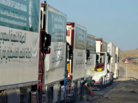 Россия передала Египту около 20 тонн гуманитарной помощи для сектора Газы