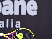 Теннис. Матч турнира в Брисбене был прерван из-за ядовитой змеи