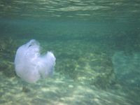 Водозаборную систему электростанции 