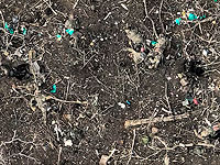 Российского военнослужащего, записавшего антивоенное обращение к Путину, посадили в 