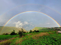 Зима в Израиле: невероятно красивые фото от Управления заповедников и парков