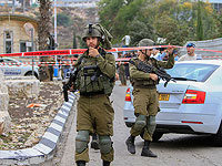 Попытка теракта в Иудее: террористы пытались проникнуть на ферму и были нейтрализованы