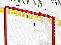 НХЛ выразила озабоченность отстранением израильтян и попросила IIHF 