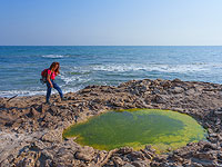 Соляные провалы Мертвого моря. Фоторепортаж