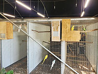 В национальном парке