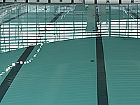 Деятельность Федерации плавания Израиля будет приостановлена