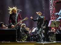 Музыкантов группы 