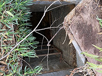 36-я дивизия ЦАХАЛа приступила к 