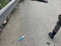 В Аль-Азарии застрелен 14-летний террорист, пытавшийся напасть на пограничников