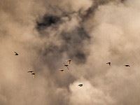 ВВС ЦАХАЛа атаковали объекты