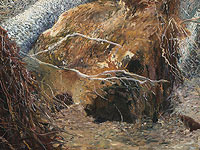 Смотри, Земля – открывается пятая выставка из серии 