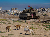 ХАМАС: операция ЦАХАЛа в Рафахе приведет к окончанию переговоров об освобождении похищенных