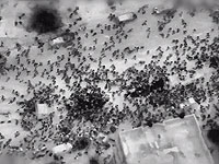 Отчет ЦАХАЛа о трагедии в Газе при разграблении гумконвоя: военные не стреляли по толпе