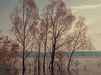 Кинерет продолжает наполняться: плотину 